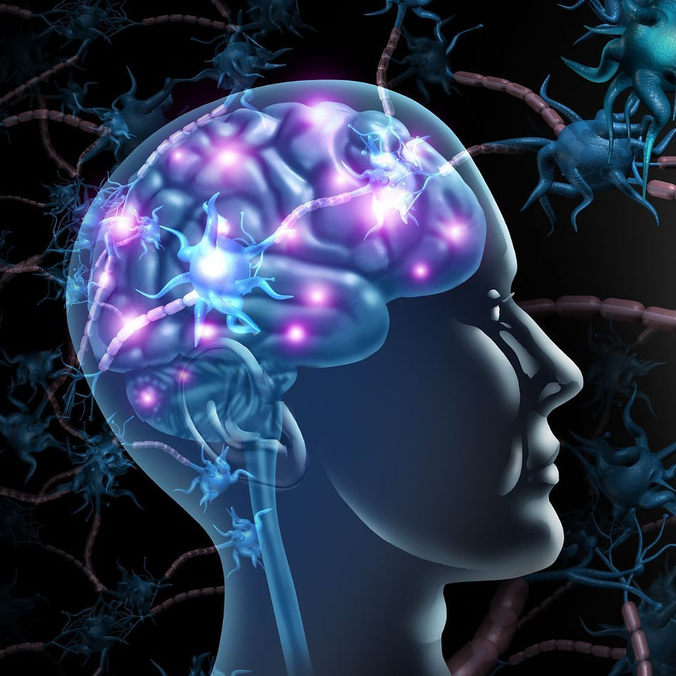 How the Brain Develops, Adapts, and Sometimes Struggles