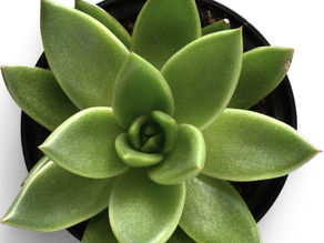 7 Ways to Get Through Difficult Times