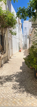IMG_2728.jpeg