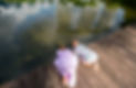 IMGL3862_edited.jpg