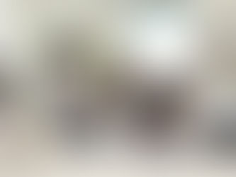 Финландын хөтөлбөрийн талаар таны заавал мэдэх ёстой зүйлс
