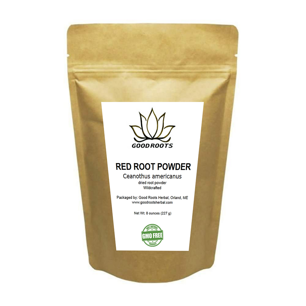 Thumbnail: Red Root Powder Ceanothus americanus