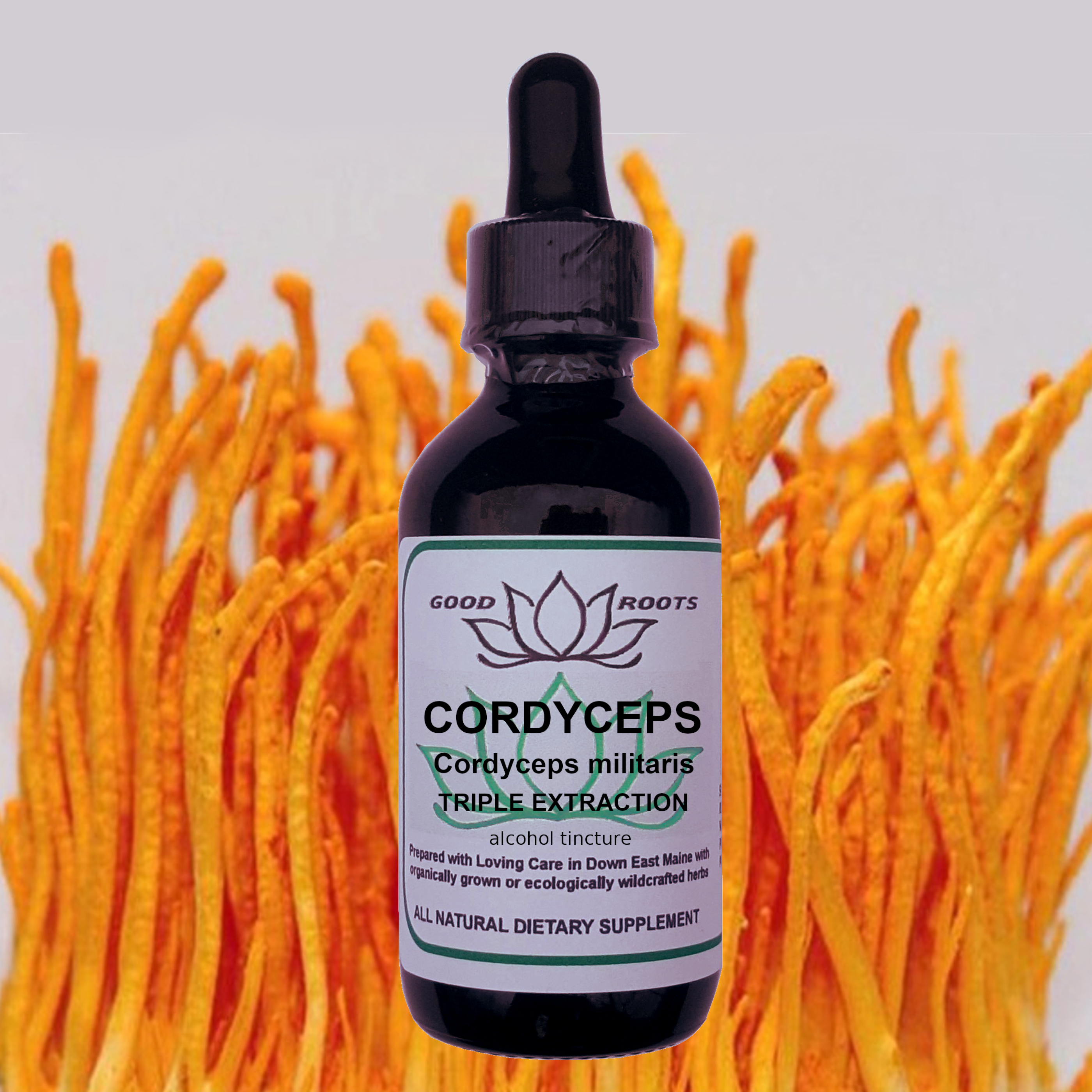 Cordyceps Mushroom Triple Extracted Tincture