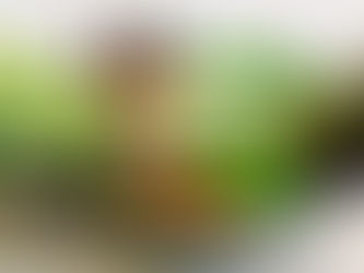 Nutritional Psychiatry: Foods That Support Mental Health