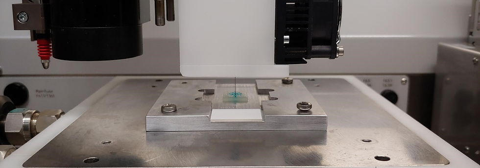 3D Bioprinting