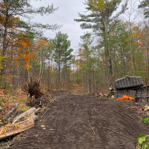 land clearing/ road building