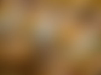 La dégustation de mariage : un moment clé pour construire votre réception