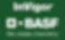 invigor basf logo copy