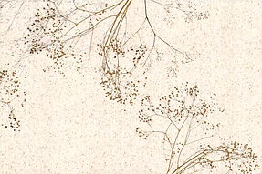 Arte Mobilier, Magasin de décoration intérieure à Perpignan