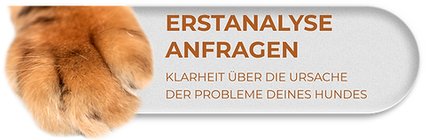 ERSTANALYSE.png