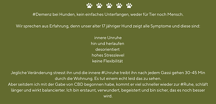 Ernährungsberatung Tiertherapie Hund