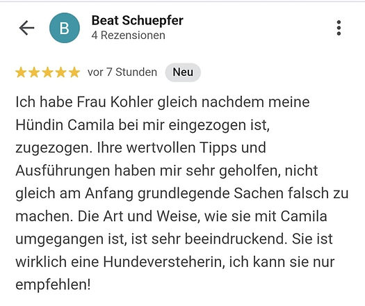 Erfahrung Menschentrainerin für Hunde