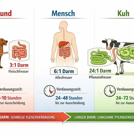 WAS HUNDE KRANK MACHT - Der Hund ist ein Fleischfresser