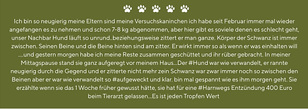 Ernährungsberatung Tiertherapie Hund