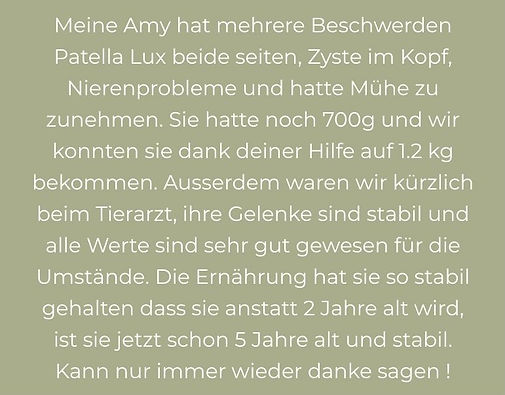 Ernährungsberatung Tiertherapie Hund