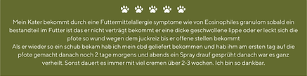 Ernährungsberatung Tiertherapie Hund