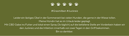 Ernährungsberatung Tiertherapie Hund