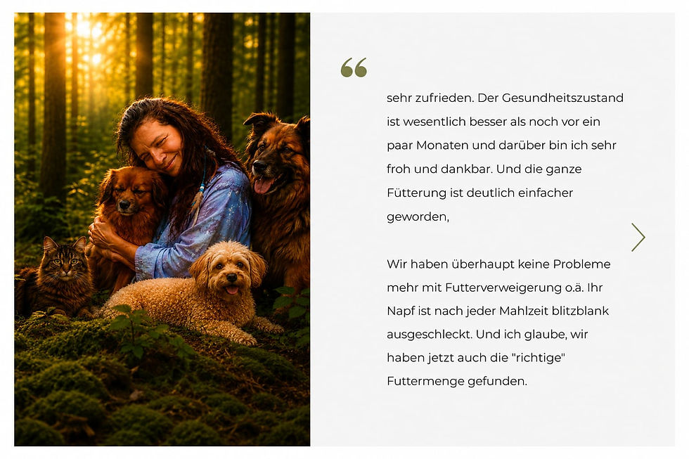 Hund frisst schlecht – steckt mehr dahinter als nur Mäkelei?