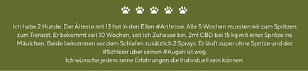 Ernährungsberatung Tiertherapie Hund