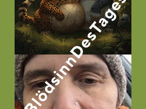 Übergewicht bei Hund und Katze: Warum falsche Fütterung – und nicht die Kastration – das Problem ist