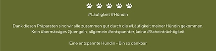 Ernährungsberatung Tiertherapie Hund