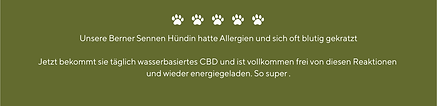 Ernährungsberatung Tiertherapie Hund