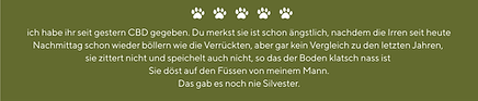 Ernährungsberatung Tiertherapie Hund