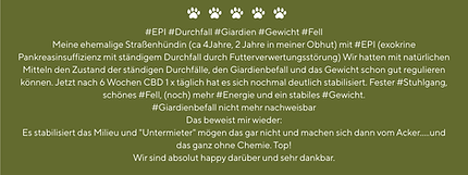 Ernährungsberatung Tiertherapie Hund