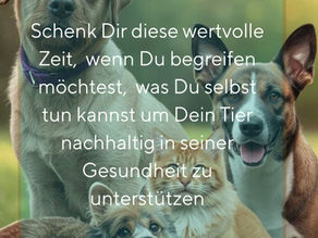 Das Endocannabinoid-System: Warum CBD und körpereigene Cannabinoide so ähnlich wirken - auch beim Hund