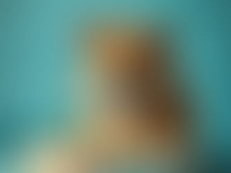 Positives Hundetraining mit Leckerli