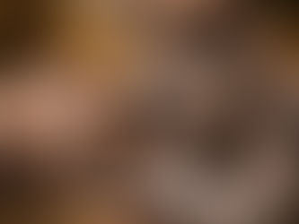 DU DARFST BLEIBEN - SOZIALE SICHERHEIT HUND