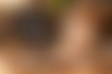 Wenn der Hund sein Futter verweigert – warum mäkelige Fresser oft missverstanden werden