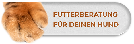 Menu-beratung.png