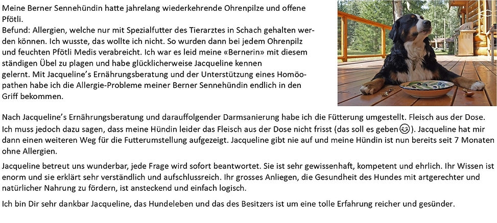 Kundenstimmen / Erfahrungen gesHUNDesLeben