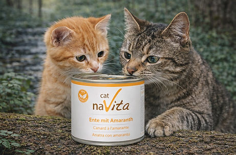 Natürliches Hundefutter ohne Zusatzstoffe
