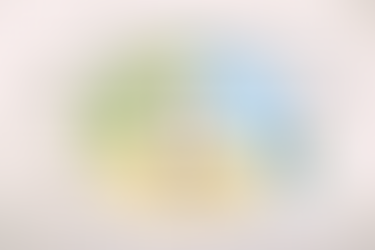 Stoffwechsel Hund Symptome