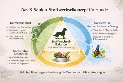 Stoffwechsel Hund Symptome