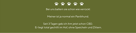 Ernährungsberatung Tiertherapie Hund