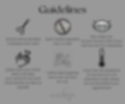 mobile hairdressing guidelines (1).png