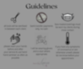 mobile hairdressing guidelines (2).png