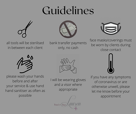 mobile hairdressing guidelines (2).png