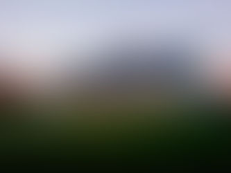 This Month at Moss Arts