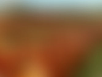 A Hokie's Guide To October Events