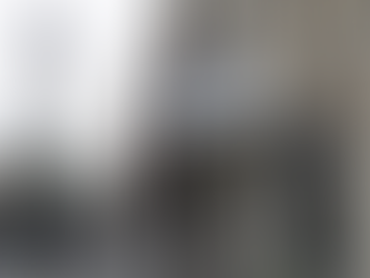 Documenting Quarantine