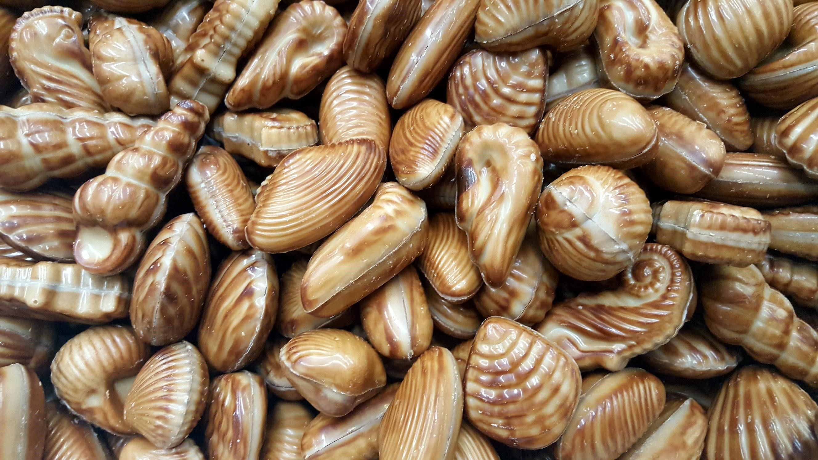 Zeevruchten praliné