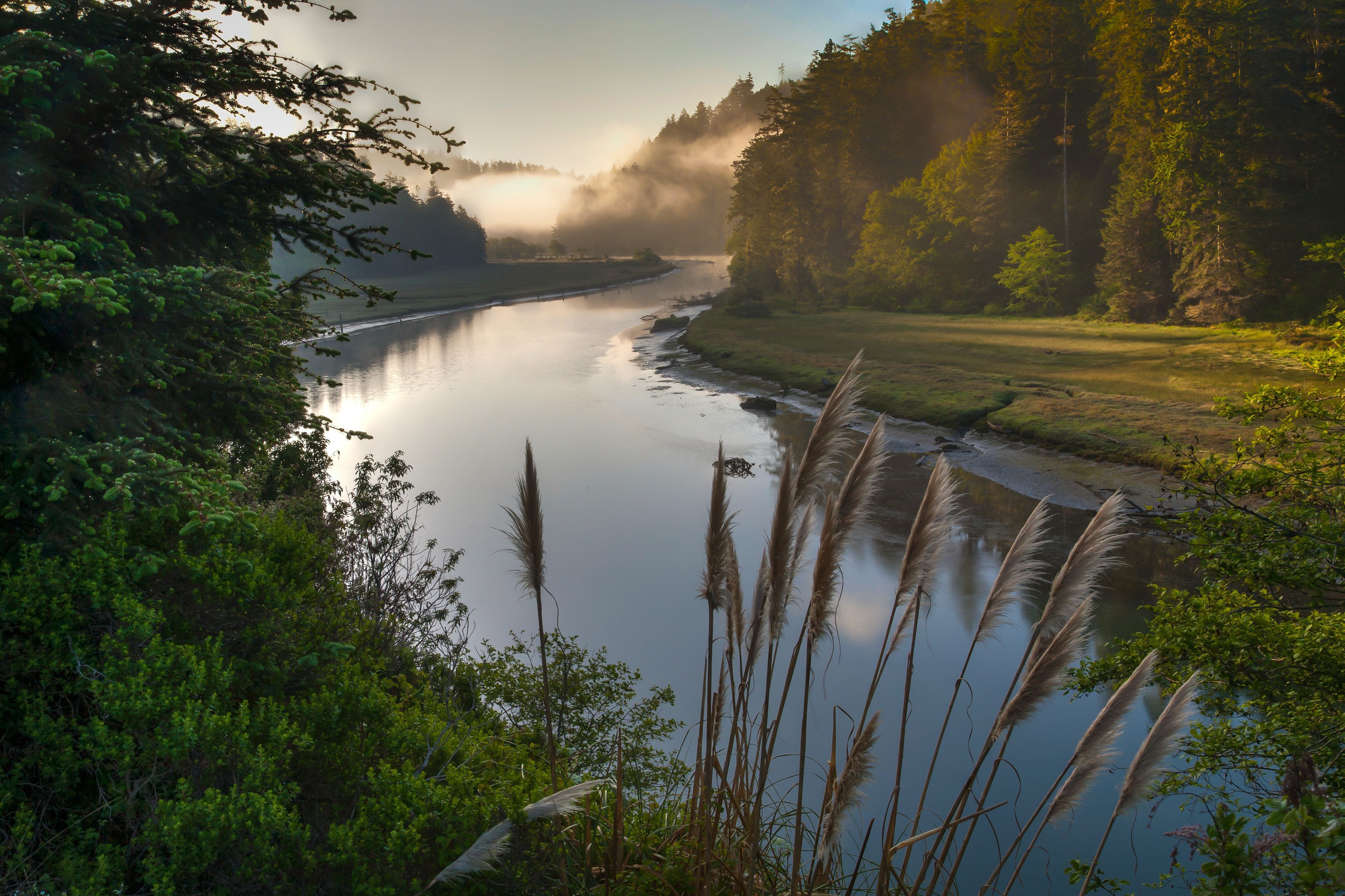 River In Mendocino