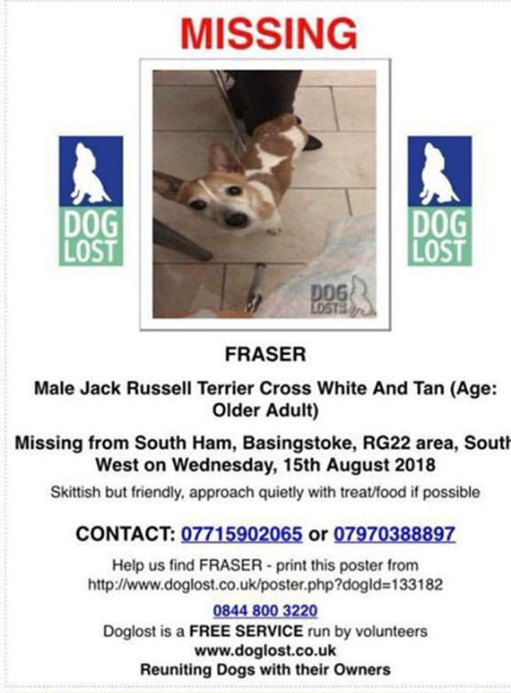 lost dog - Aug 2018.jpg