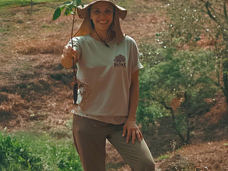 Floresta e água: a restauração ecológica como caminho para a segurança hídrica