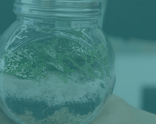 Design sem nome (21).png