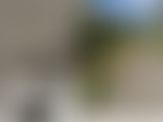 Informacija dėl liūties padarinių